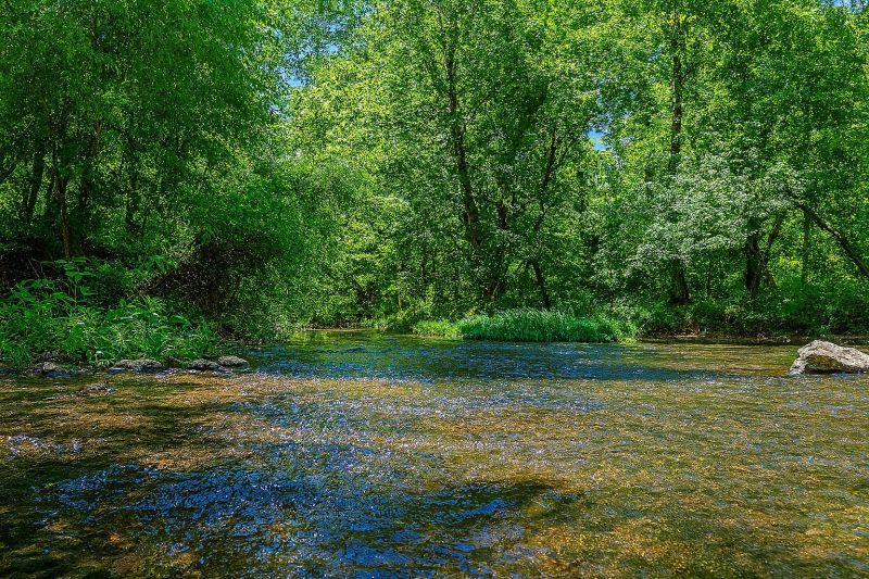 Hero for Home Services Options