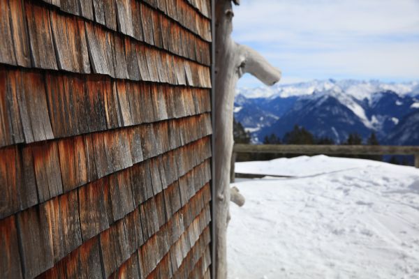 Cedar Siding Repair in Franklin
