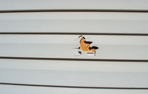 Siding Hole Repair in Franklin